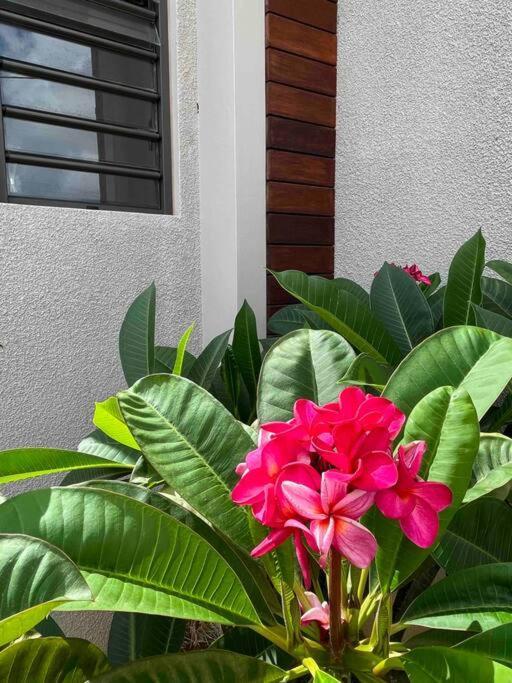 Case Al Mare Calodyne Ngoại thất bức ảnh